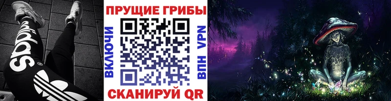 Галлюциногенные грибы мицелий  omg   Горячеводский 